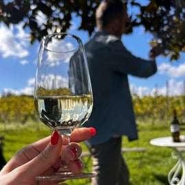 Desde Roma: Tour de medio día del vino de Frascati con comida en una granja
