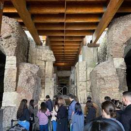 Roma: tour exclusivo por el Foro Romano y el Coliseo subterráneo