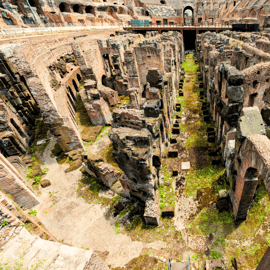 Rome : Visite guidée du Colisée, des arènes, du Forum et de la colline Palatine