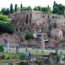 Rom - Colosseum Colosseum, Forum Romanum och Palatinkullen Privat tur