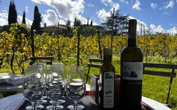 From Rome: Half-Day Frascati Wine Tour with Farmhouse Lunch
