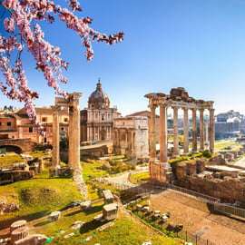 Rome: Roman Forum and Palatine Hill Licensed Guided Tour