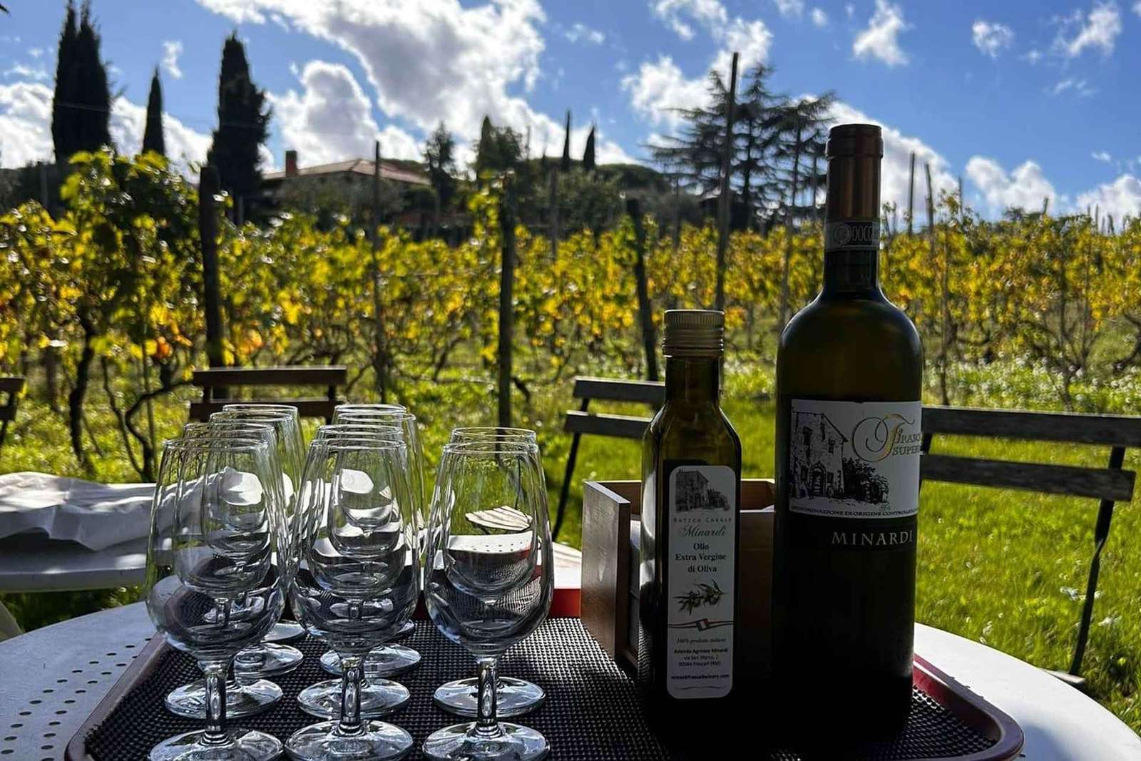Desde Roma: Tour de medio día del vino de Frascati con comida en una granja