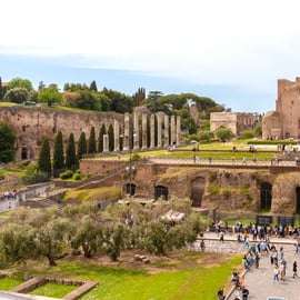 Rome: Colosseum, Forum, and Palatine Tour