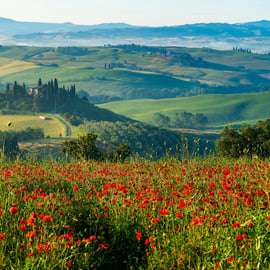 Rome: Tuscany & Montepulciano Day Trip with Lunch & Wines