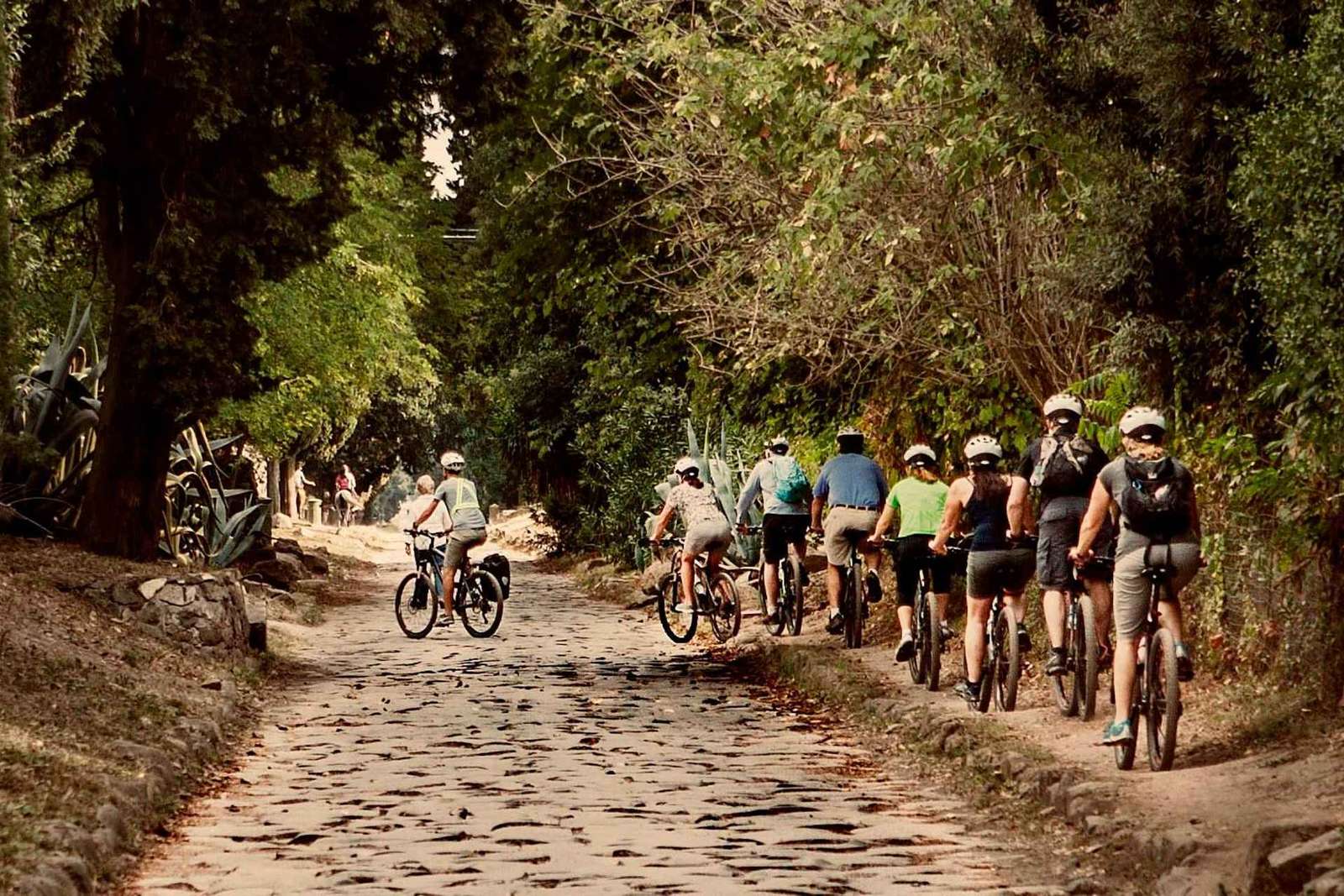 Rome: Appian Way & Romeinse Aquaducten Tour met E-bike gids