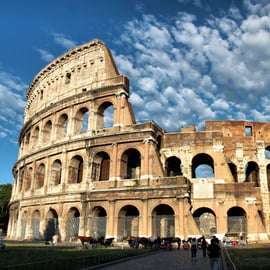Rom - Colosseum Colosseum, Forum Romanum och Palatinkullen Privat tur