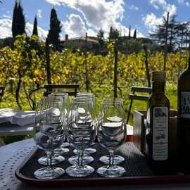 Desde Roma: Tour de medio día del vino de Frascati con comida en una granja