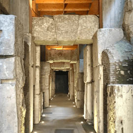 Rome : Visite guidée du Colisée, des arènes, du Forum et de la colline Palatine