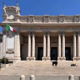 Ticket voor de Nationale Galerie voor Moderne Kunst & Rome App Audiogids