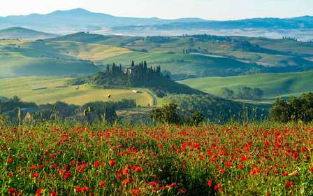 Rome: Tuscany & Montepulciano Day Trip with Lunch & Wines