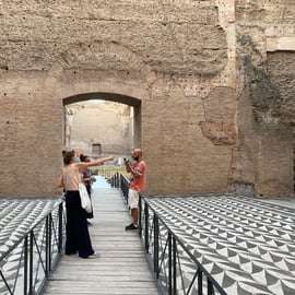 Rome: Caracalla Baden & Circus Maximus - privé of gedeeld
