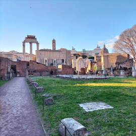 Rome: Roman Forum and Palatine Hill Licensed Guided Tour