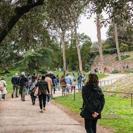 Koloseum, Forum Romanum i Palatyn z przewodnikiem