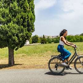 Appia Antica: Full Day Bike Rental with Customizable Routes