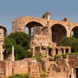 Rome: Roman Forum and Palatine Hill Licensed Guided Tour