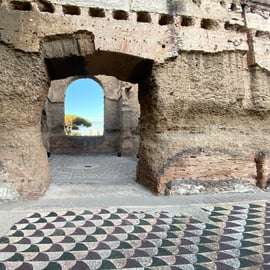 Rome: Caracalla Baden & Circus Maximus - privé of gedeeld